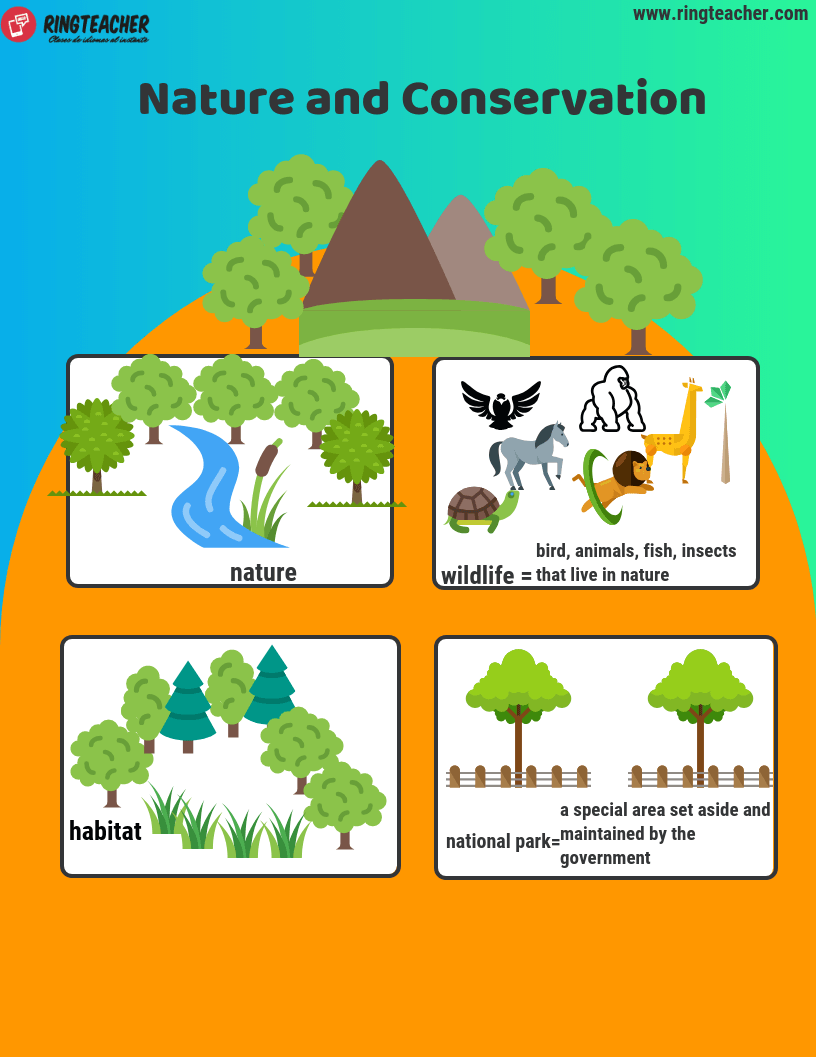 Vocabulario conservacion ingles