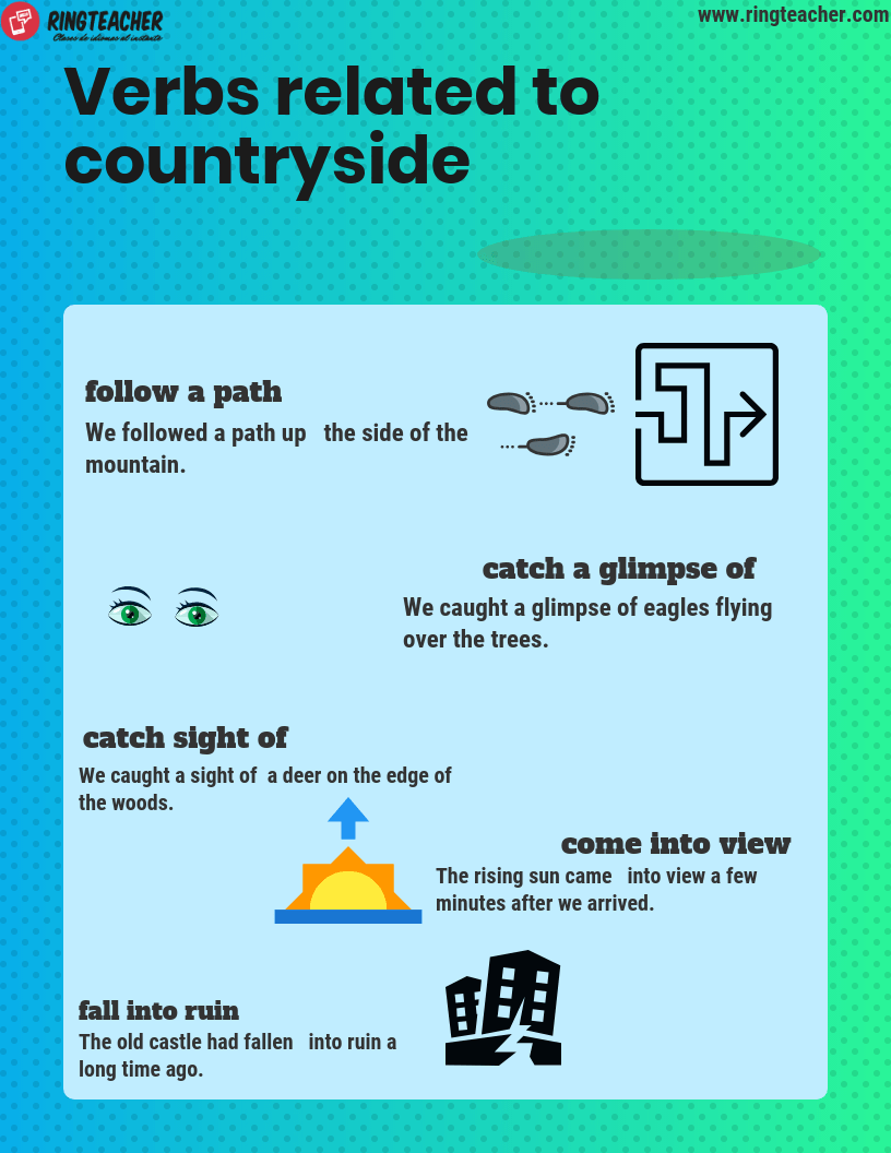 Vocabulaire conservation anglais