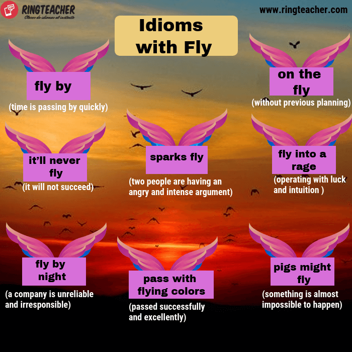 Modismos con el verbo fly