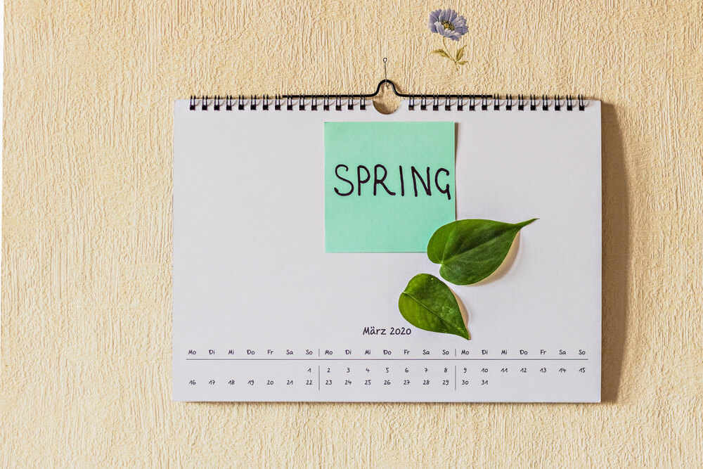 los meses en inglés van con in o on