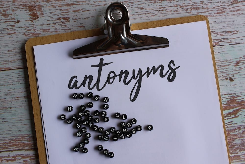 sinonimos antonimos en ingles